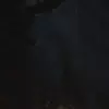 Preview of atmospheric forest scene