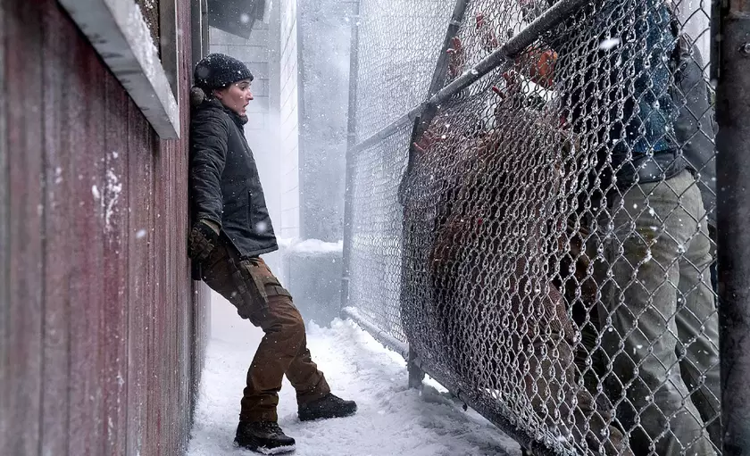 Первый лайв-кадр из второго сезона The Last of Us: Захватывающее возвращение