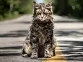 post_big/Pet-Sematary-2019.jpg