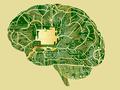 Ученые создали новый тип памяти, которая значительно ускорит искусственный интеллект