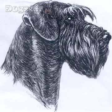 Назар Березовский