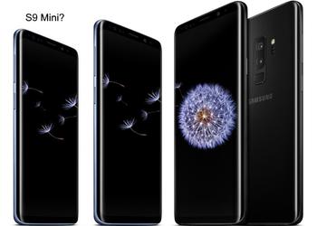 Surprise! Samsung tests Galaxy S9 Mini on Snapdragon 660