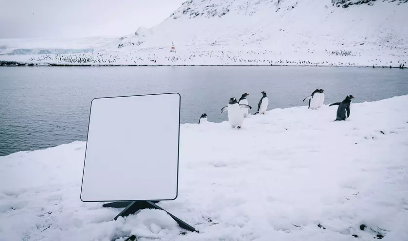 SpaceX представила тариф Starlink Roam с глобальным роумингом за $200