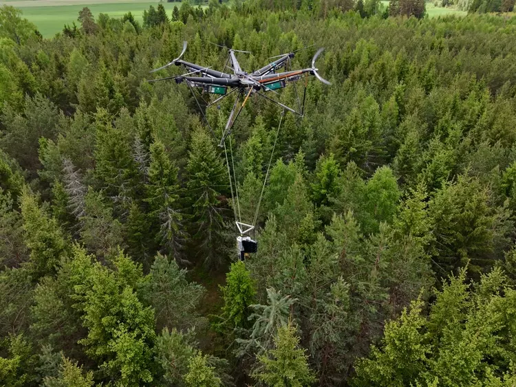 Дрон AirForestry вперше автономно зрубав дерево ...