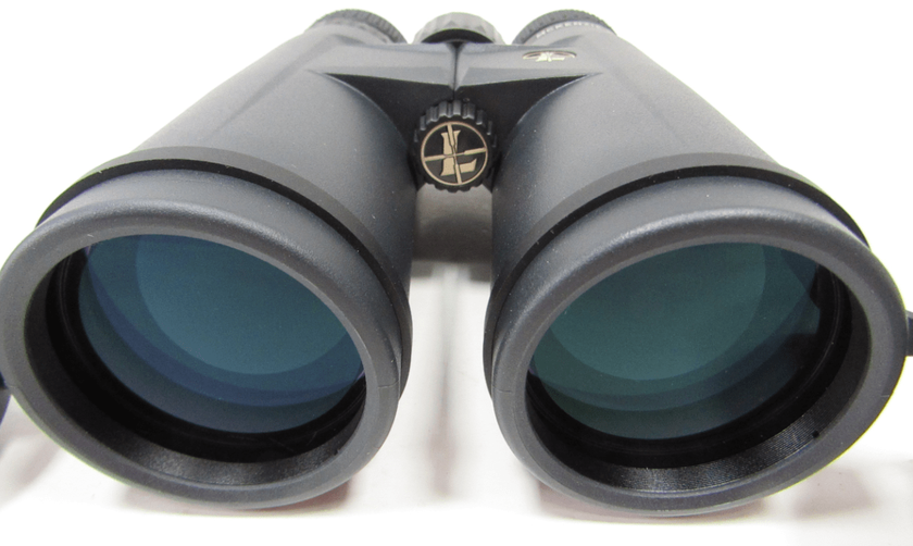 Leupold BX-1 McKenzie HD 12x50 Travel Binoculars