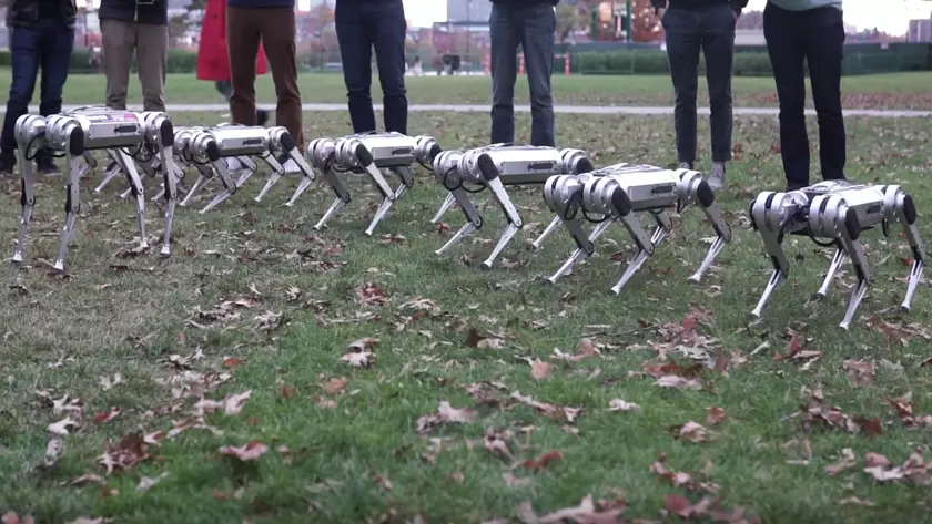 Видео: стая роботов-собак Mini Cheetah играет в футбол и синхронно делает сальто