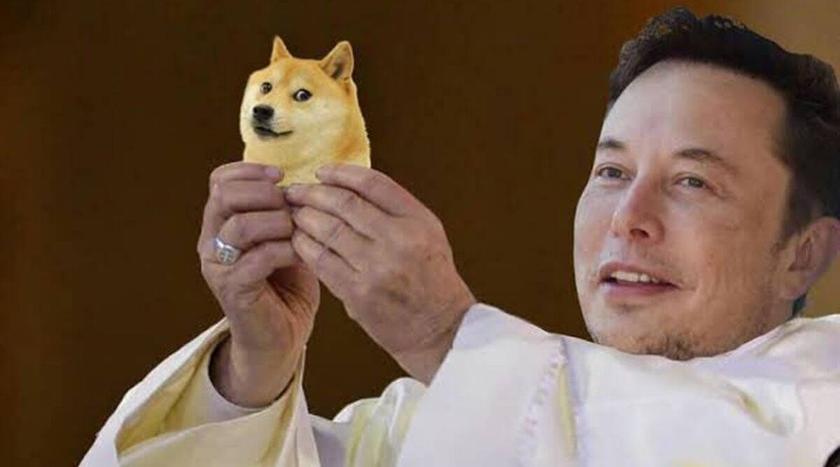 Dogecoin has risen sharply - Tesla began to sell branded products for DOGE