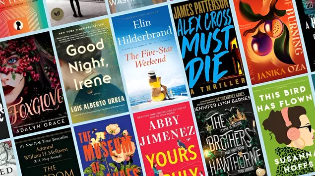 Hachette Cancels "Shy Girl" Release Due ...