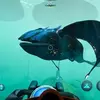 Subnautica: Below Zero thumbnail 1