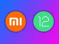 post_big/Xiaomi-android-12.jpg