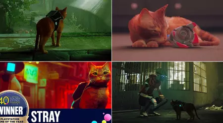 The story of Stray: how a cat from a cyber city became the discovery of the year and influenced the gaming industry