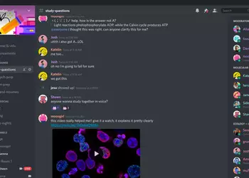 Как Discord (в общем-то, случайно) изобрел будущее Интернета