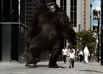 Чай с Бергамотом: рогатка с лазерным целеуказателем и японские роботы