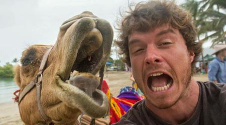 Instagram began to block the Selfie with animals