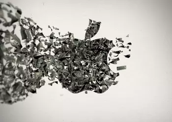 Записки маковода: в погоне за большими деньгами