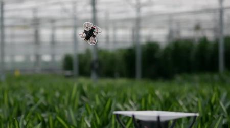 Gli ingegneri olandesi vogliono sterminare gli insetti nelle serre usando droni, telecamere IR e intelligenza artificiale