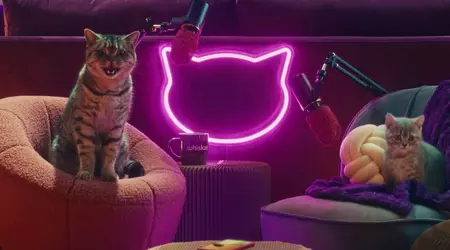 Whiskas has launched the Purrcast podcast: cats talk (video)