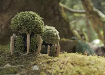 Горшок на ножках: Panasonic представила эко-робота Umoz из мха, который передвигается по дому в поисках комфортных условий