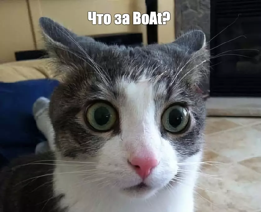 Рынок носимой электроники в 2020 году: Apple, Xiaomi, Samsung, Huawei и BoAt лидируют в четвёртом квартале