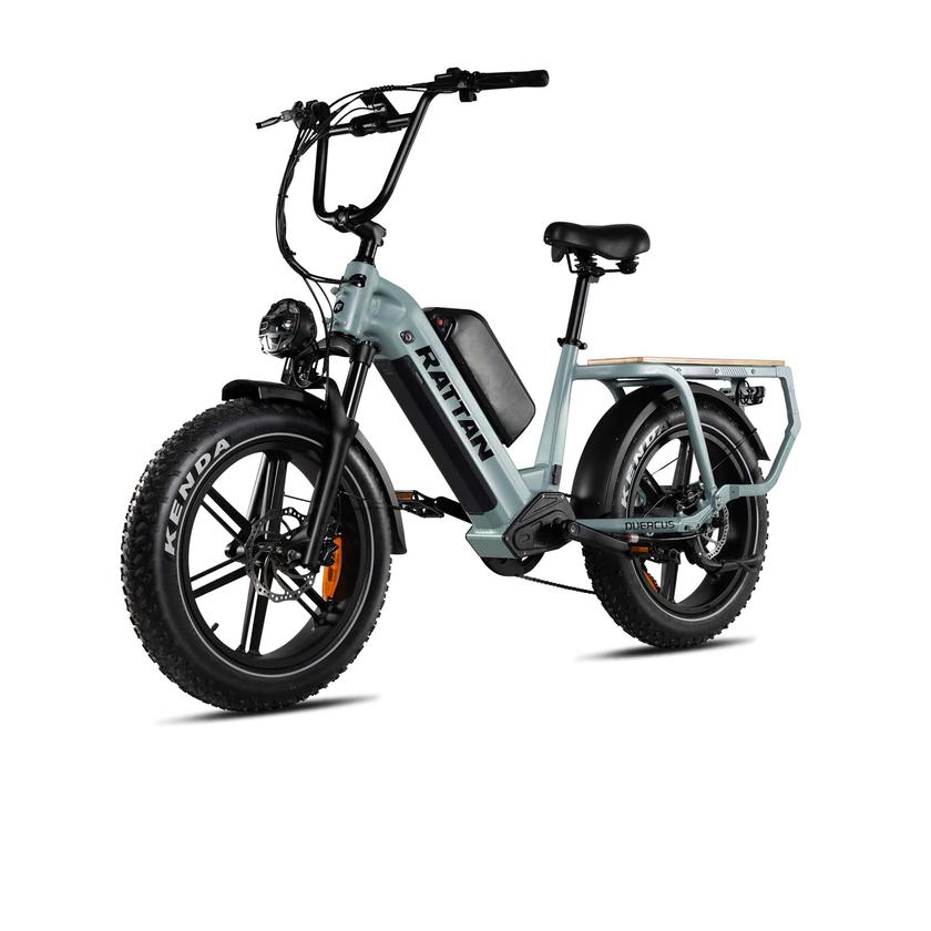Rattan Quercus electric bike
