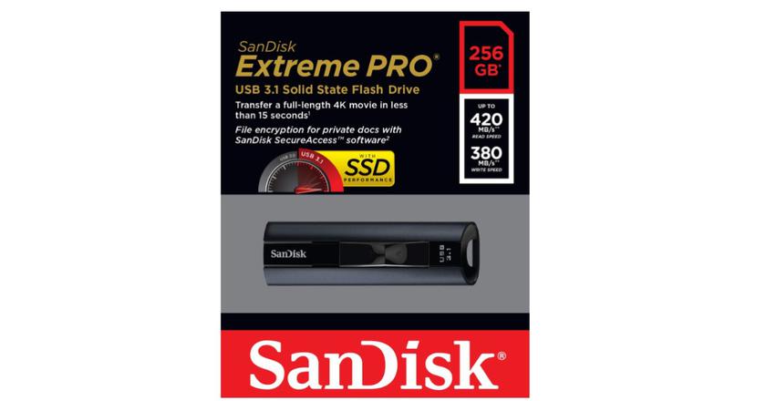 SanDisk 256 GB Extreme PRO USB DJing