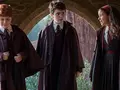 Мандрагора не орет, но выглядит неплохо: HBO показала новый трейлер сериала “Гарри Поттер и Философский камень”