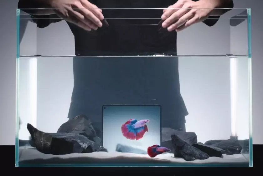 Vivo X Fold 5: Новый уровень водозащиты до 3 метров и выносливость в 1000 сложений!