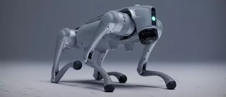 Swedish robot "dog" Luna has received ...