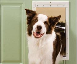Pet Safe Plastic Pet Door with Soft Tinted Flap