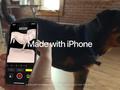iPhone 14 Pro помогает создавать протезы для животных (видео)