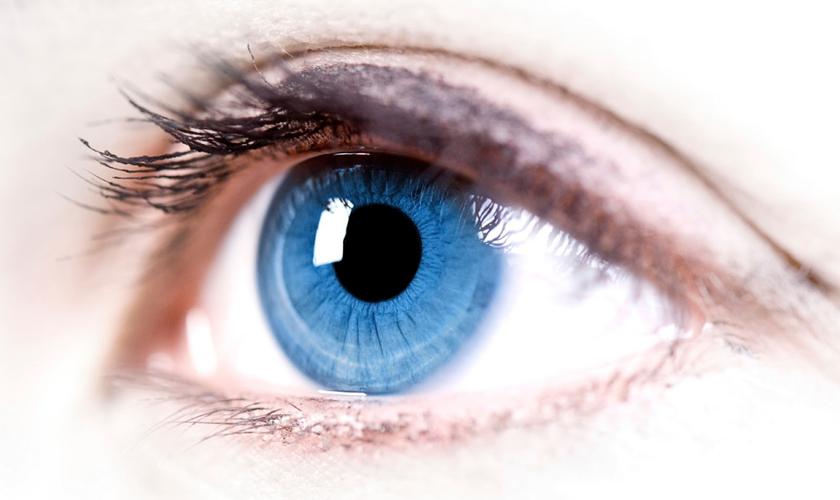 Алгоритм Google научился определять сердечные недуги по сетчатке глаза