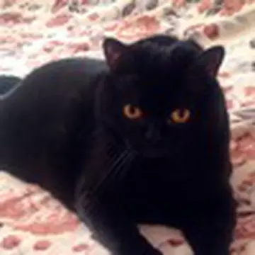 Наталия Кравченко