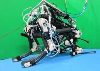 Четвероногий робот PIGORASS обучен галопу  