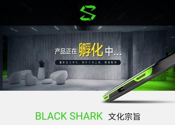 Xiaomi is preparing a game smartphone Black Shark - competitor Razer Phone