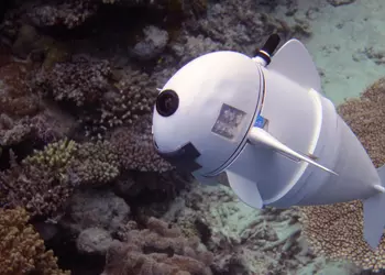 Рыба-робот SoFi будет шпионить за своими глубоководными родственниками