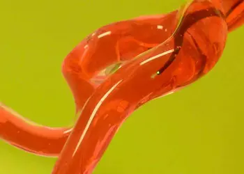 В MIT тестируют мозгового робочервя: он будет способен чистить сосуды мозга