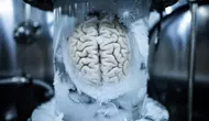 Крионика для начинающих: как заморозить мозг и не превратить его в кашу