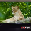 Для тих, хто знає чого хоче: огляд QLED-телевізора Xiaomi TV S Pro Mini LED 2026-47