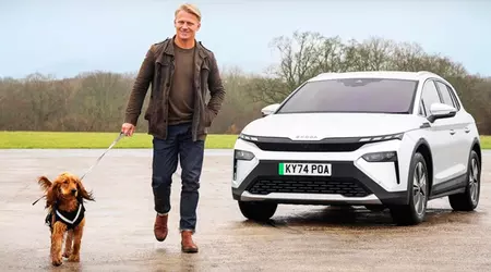 Dogs choose electric cars: study proves less stressful journeys