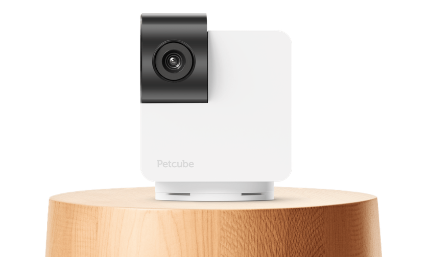 Petcube Cam 360: камера для спостереження за домашніми тваринами з обертанням на 360°, нічним режимом і двостороннім зв'язком