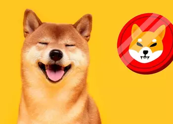 Сестра Марка Цукерберга призывает покупать криптовалюту Shiba Inu, которая подорожала на 90 000 000% с момента запуска