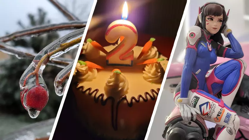 Дневник Samsung Galaxy Z Fold2: 10 классных снимков, сделанных камерой этого смартфона