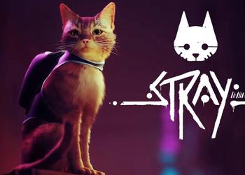 Киберпанк с котом: инди-хит Stray получил скидку 35% в Steam до 3 июня