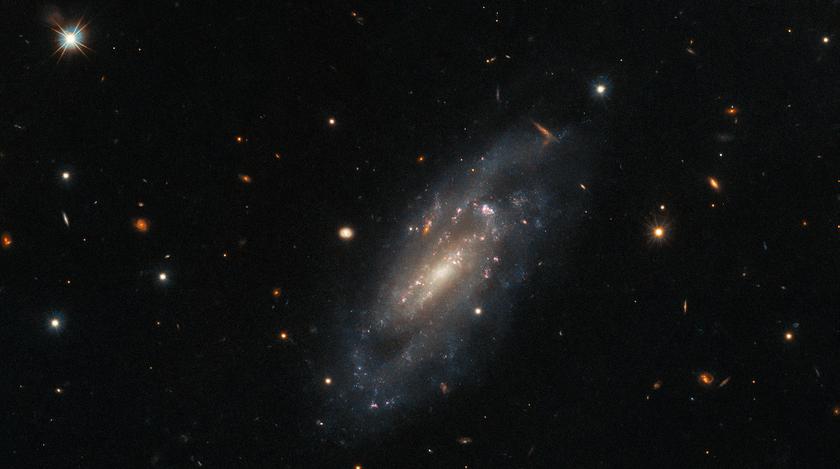 Hubble зробив фотографію далекої галактики в сузір'ї Пегаса, яка змогла пережити неймовірно потужний зоряний вибух