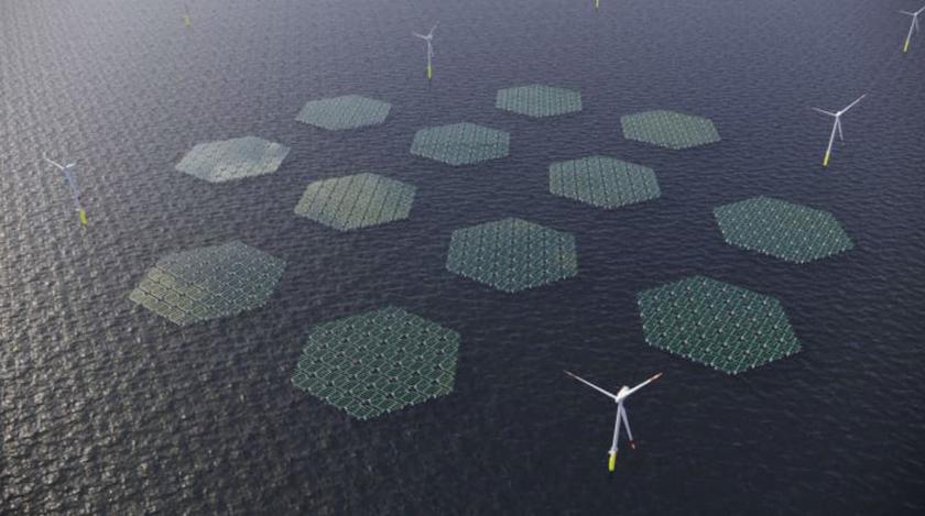 Los paneles solares se deslizarán sobre las olas "como una alfombra" en el Mar del Norte