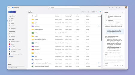 Microsoft kunngjorde introduksjonen av Copilot til OneDrive-skylagringen