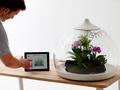 files/u2219/ipad-terrarium-1.jpg