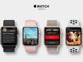 post_big/apple-watch-series-4_RUw6mGm.jpg