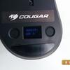 cougar-surpassion-22.jpg