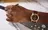 Citizen adds a brown dial option to its solar-powered Rolan watch